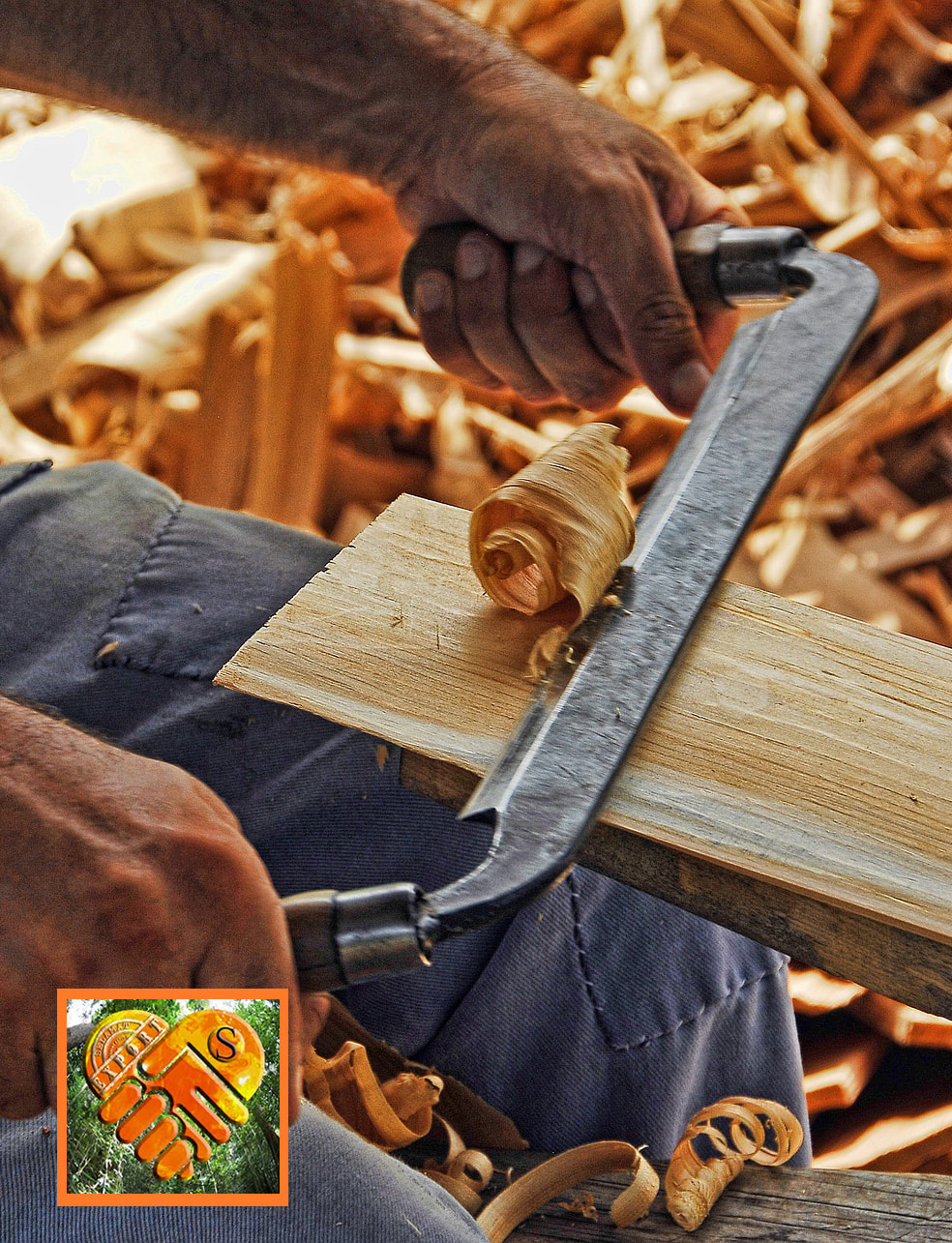 artisan rabotant du bois ethique de forets de replantation
